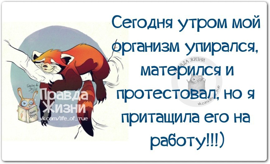 Доброе утро на работу как на праздник прикольные картинки