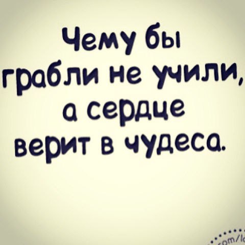 Чему бы грабли не учили а сердце верит в чудеса картинки