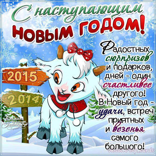 Новогодние Смс Поздравления Год Овцы