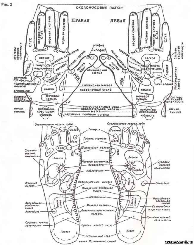 Акупунктура ладони схема