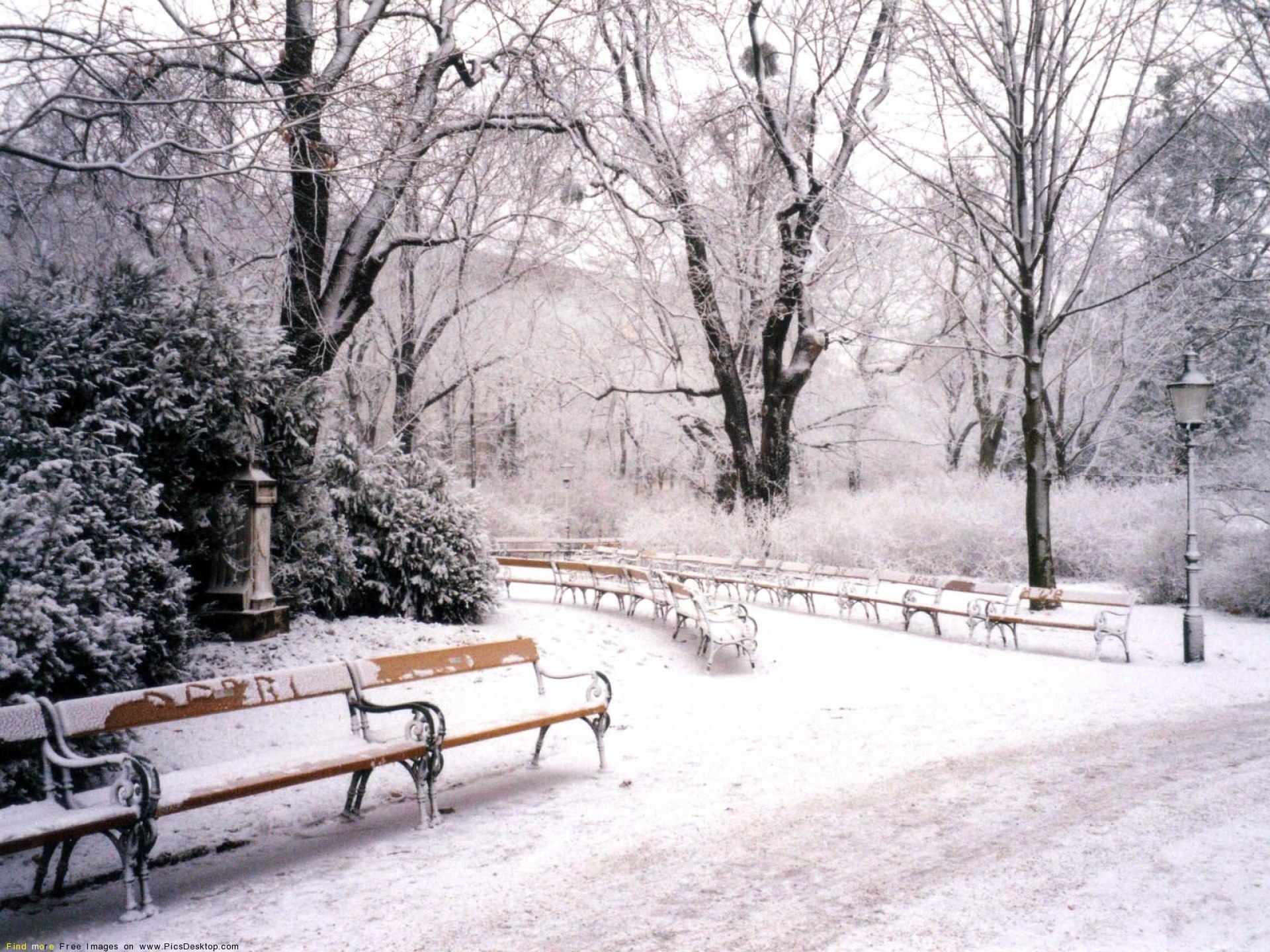 снег в парке картинки
