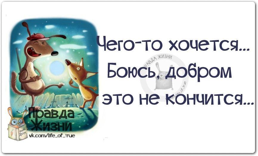 Правда жизни картинки с надписями прикольные новые