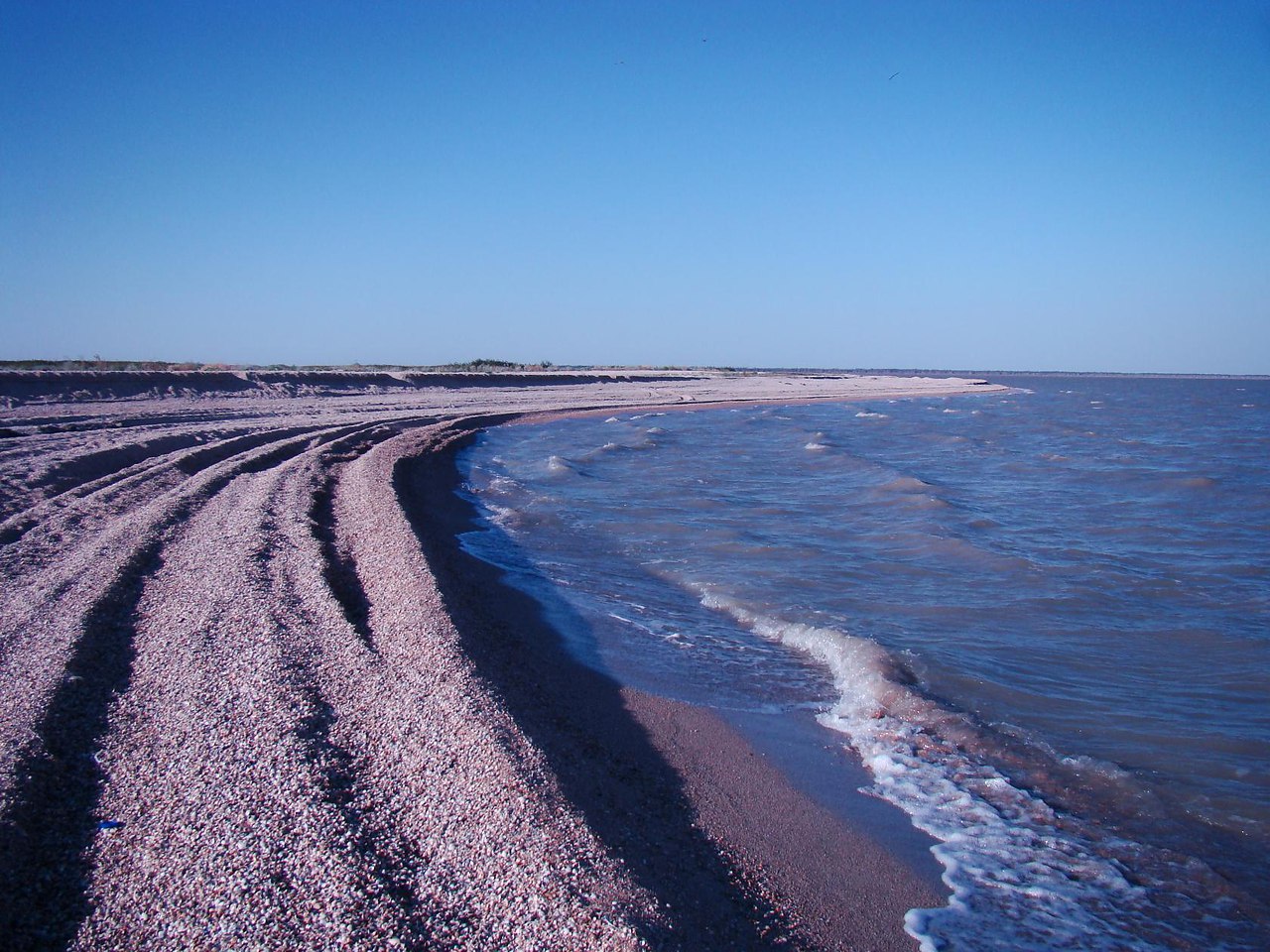Ракушечный берег Должанской косы на Азовском море