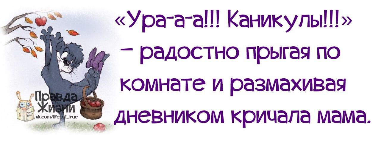 Ура каникулы картинки прикольные для родителей