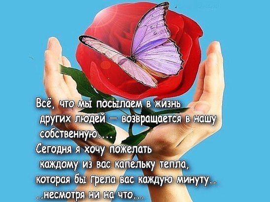 Был Бы Повод Поздравление Отправить