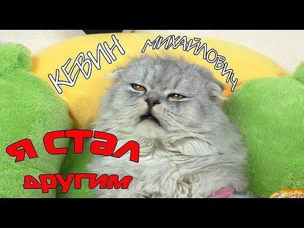 Картинки ляпота тв