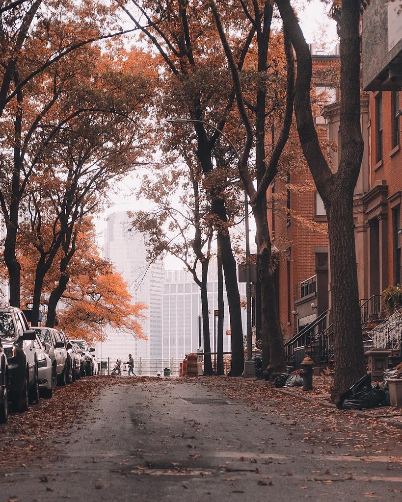 Осенний Нью-Йорк Эстетика