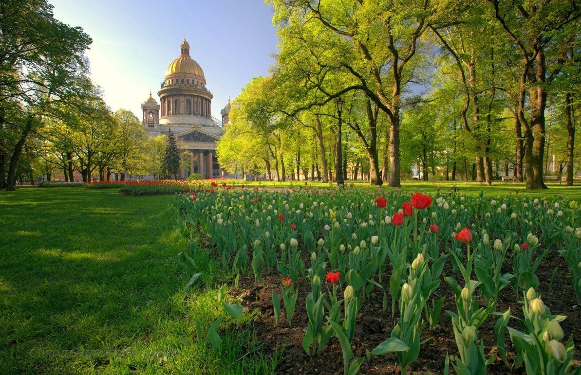 Михайловский сад весной