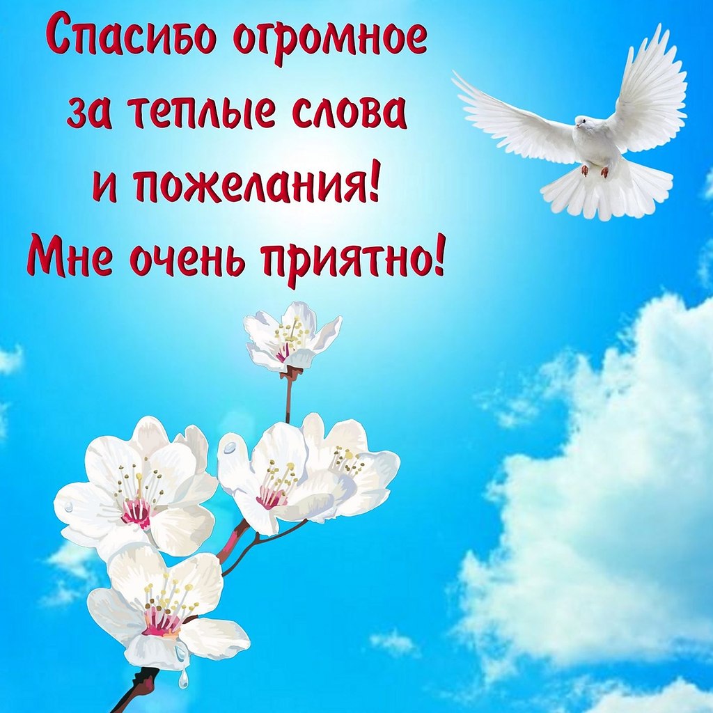 Пожелания На День Православные Картинки Красивые