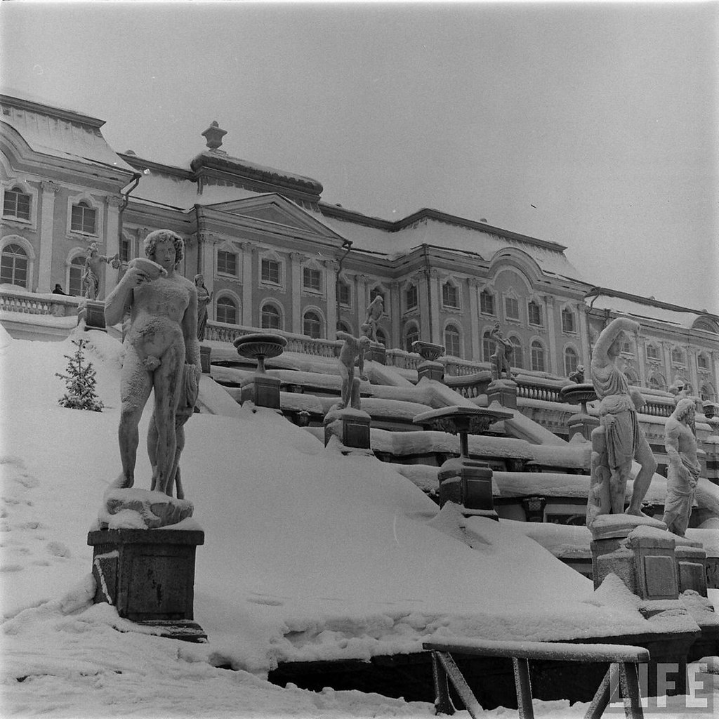 Ленинград 1955 года фото