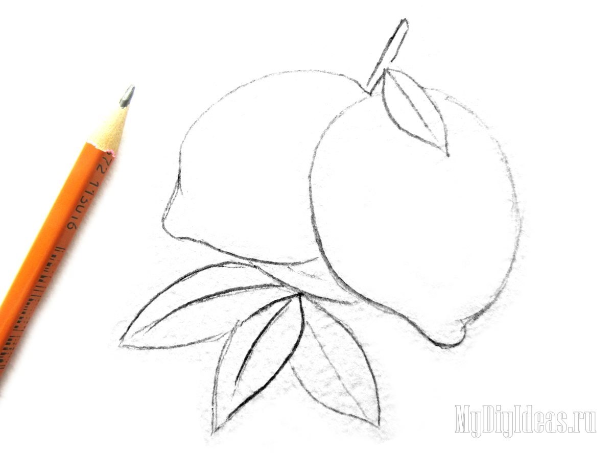 Нарисовать лимон карандашом
