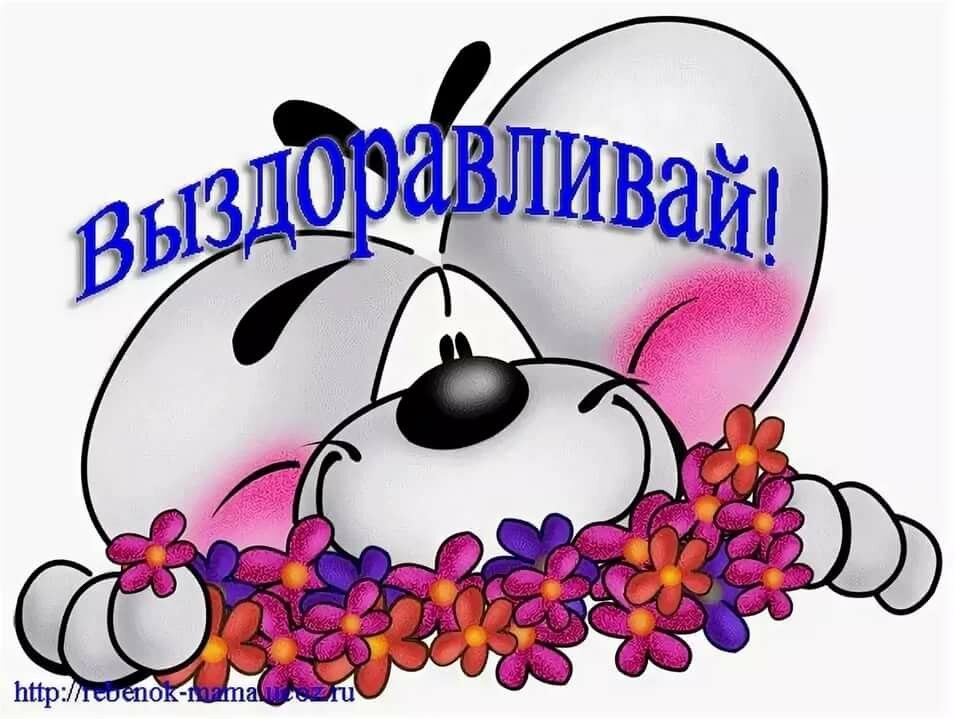 Скачать Для Ватсапа Поздравления Выздоравливай