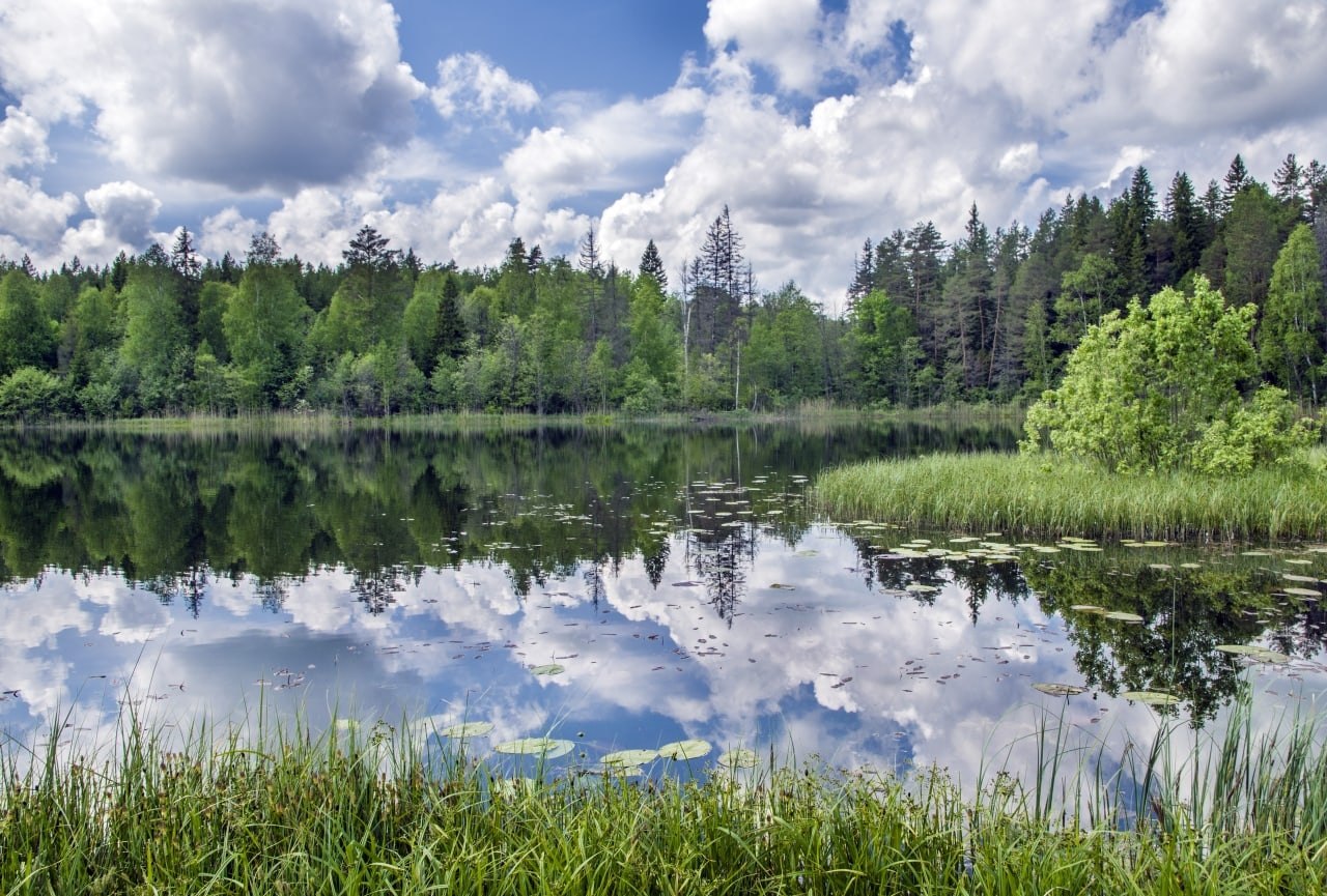 Озеро в Советске Кировской области