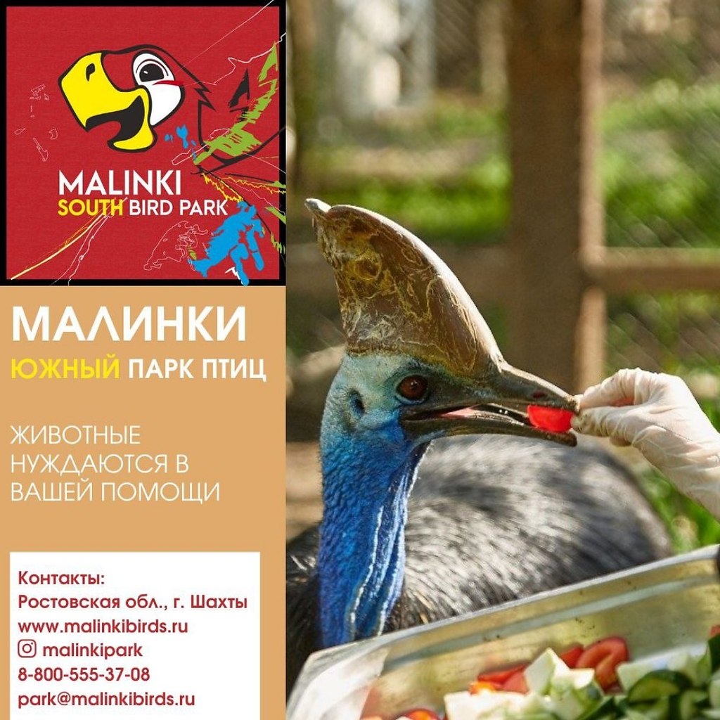 Южный парк птиц малинки в Ростовской области