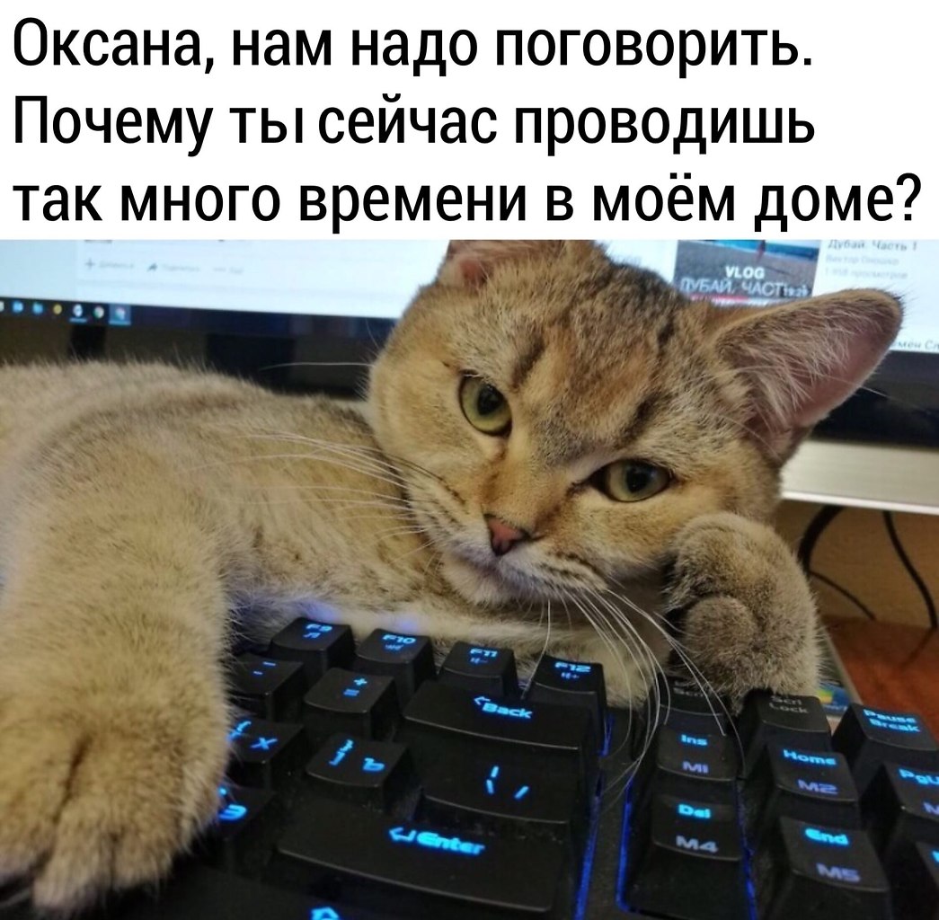 Не скучать же на карантине без работы