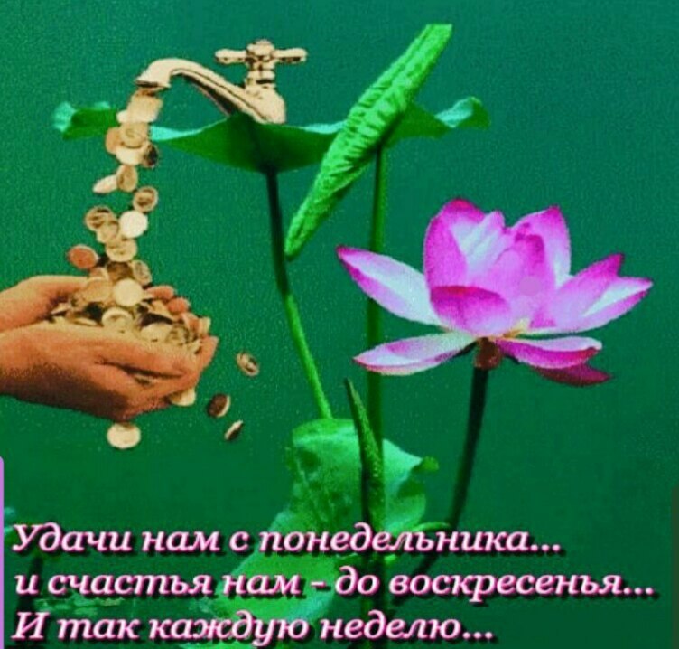 Удачи На Всю Неделю Картинки