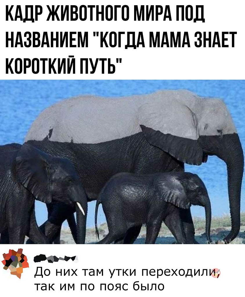 Приколы с батей
