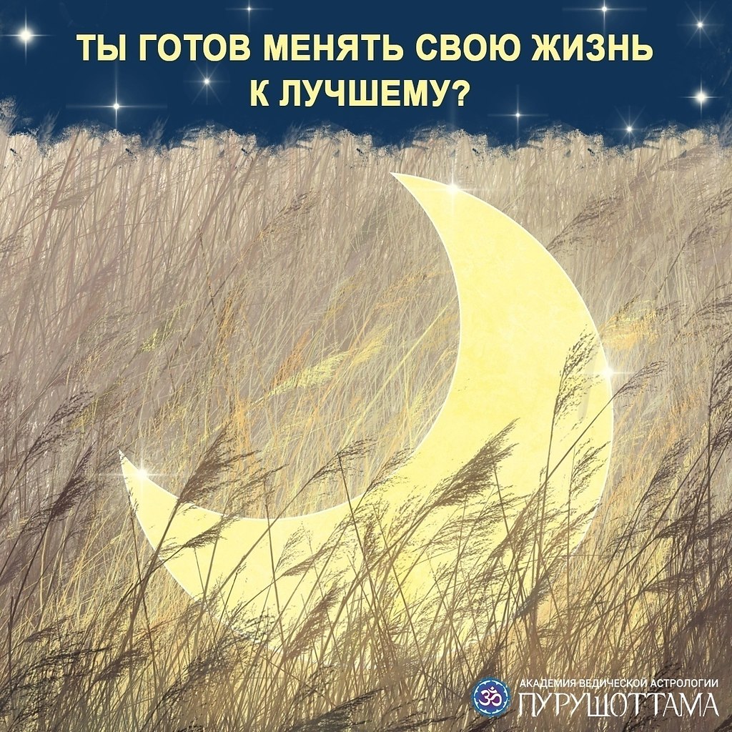 Дмитрий Ермолаев Астролог Отзывы