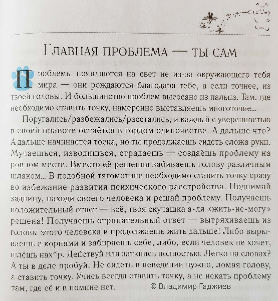Владимир Гаджиев впечатления волшебного кота книга