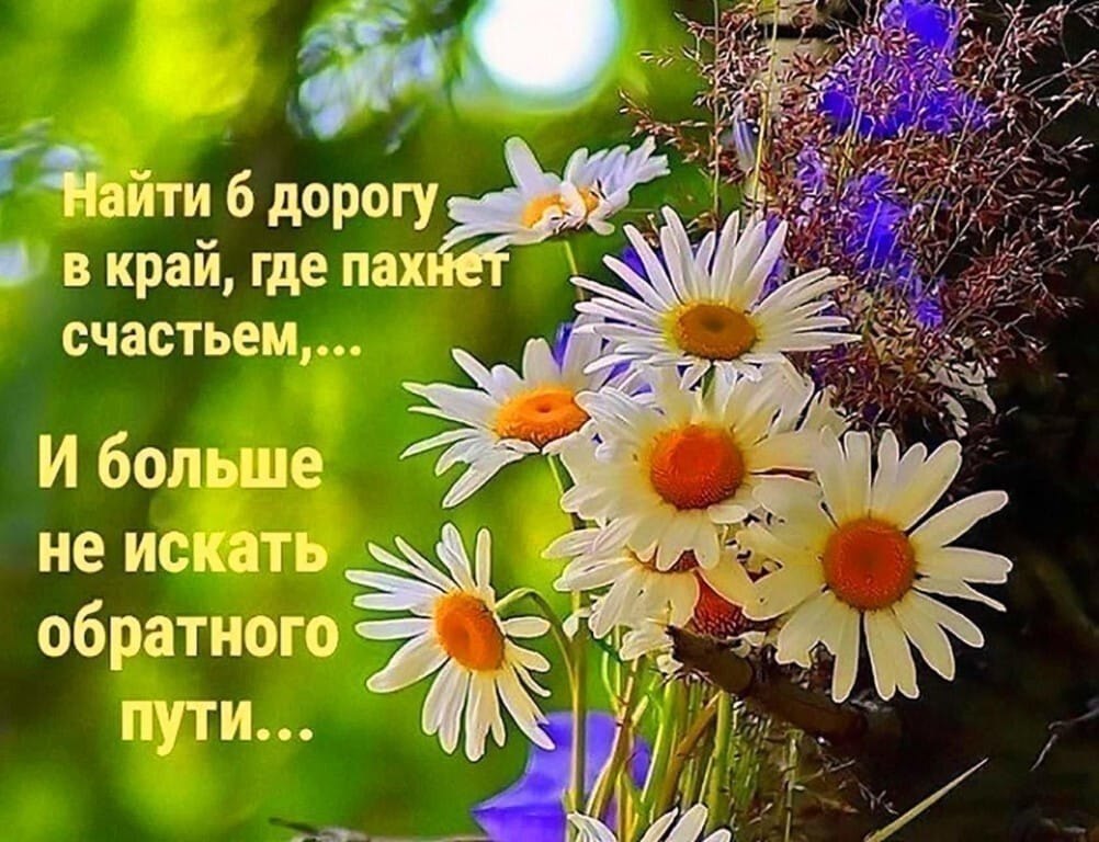 Удачи И Тепла Картинки