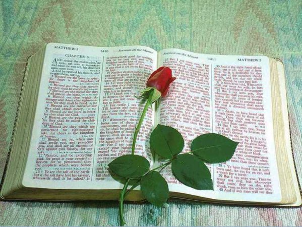 Adventist sabbath school lessons for adults
