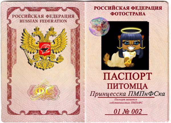 Шуточные поздравления паспорт Шуточные поздравления паспорт