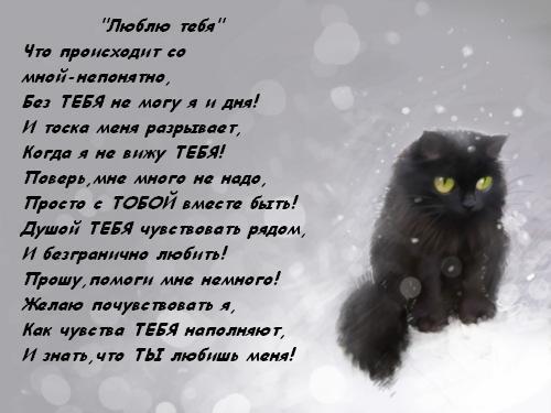 Признание любимой что не могу без нее Признание любимой что не могу без нее