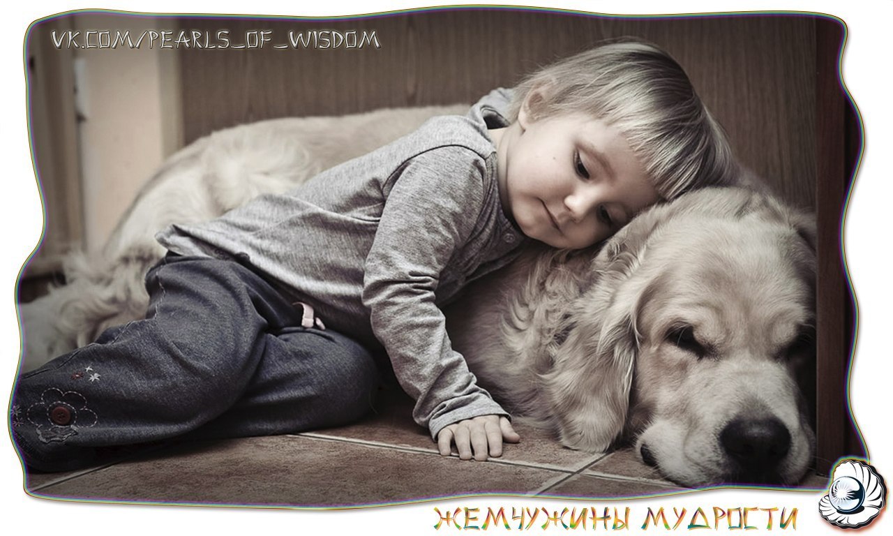Дети и животные