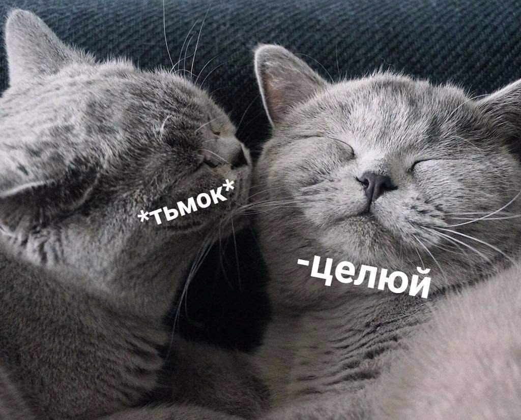 Вот тебе цветочки целую в обе щечки картинки