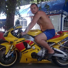 , 36 , 