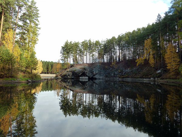 Фото джабык карагайский бор