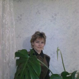 Светлана, 50 лет, Иваново