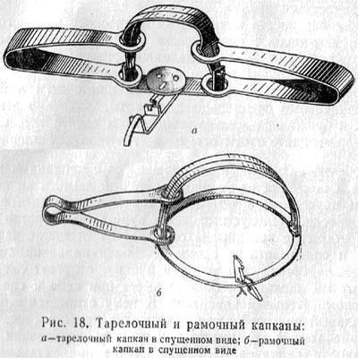 Устройство капкана схема