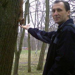 , 58 , 