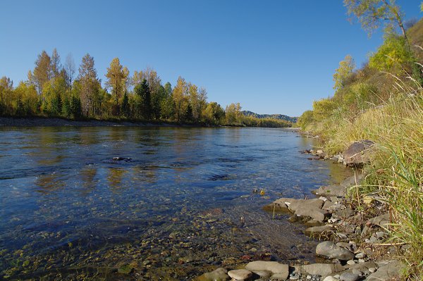 Река терсь кемеровская область