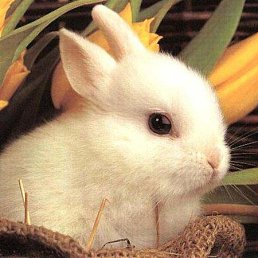 Фото Мария, Несвиж, 63 года Мария, Несвиж, 63 года