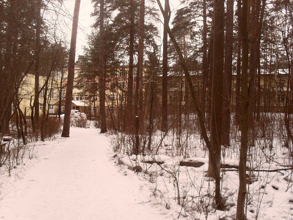 Санаторий пушкино нижегородская