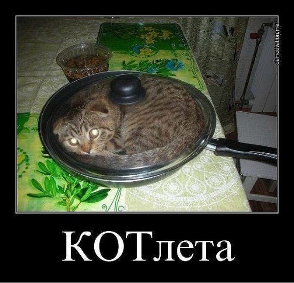 Смешные картинки котлеты