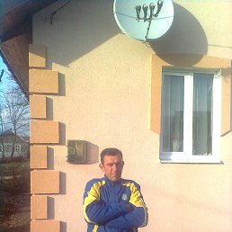 , 51 , 