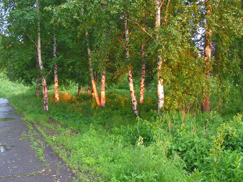 Купить Дом В Осинниках Кемеровской Области