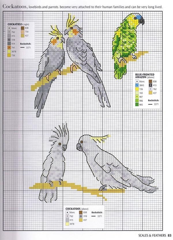 Вышивка крестом попугаи схемы попугаи