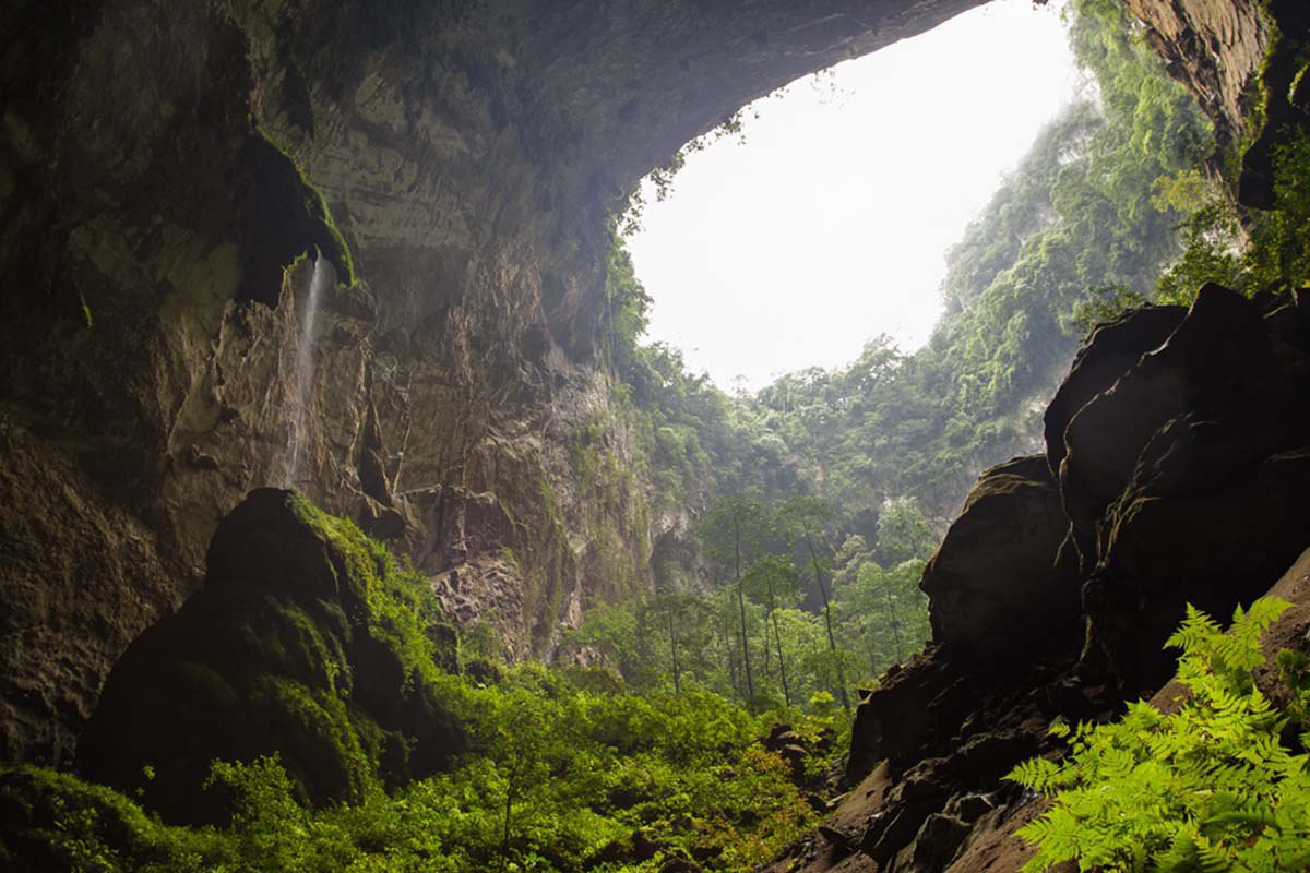 Лес пещеры Шондонг