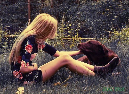 Девушка С Собакой Фото Без Лица