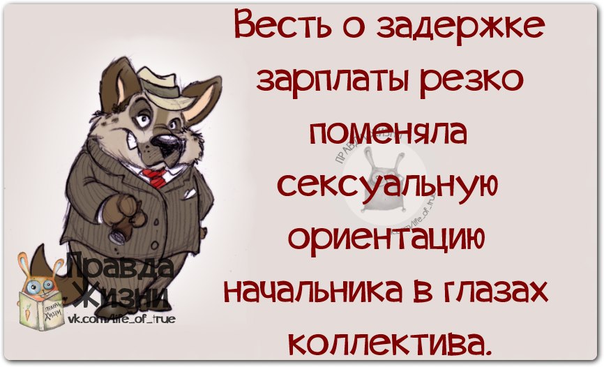 Перед зарплатой. Зарплата юмор. Шутки про задержку зарплаты. Смешные цитаты про зарплату. Открытки про зарплату прикольные.