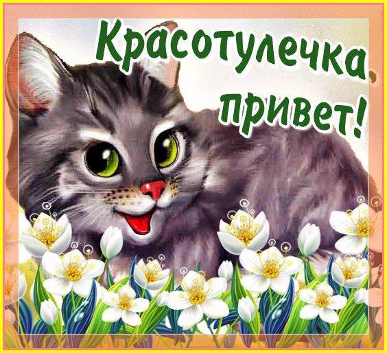 больше функциональных картинка привет борис подснежники появляются после