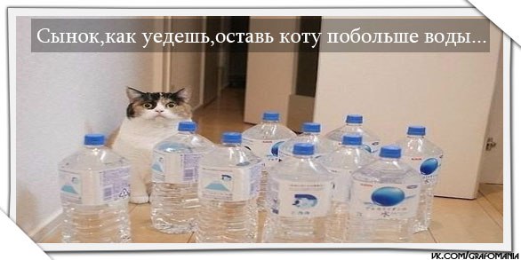 Уехал оставил сына. Оставил коту воды. Оставьте коту побольше воды. Будешь уезжать оставь коту побольше воды. Оставить коту побольше воды.