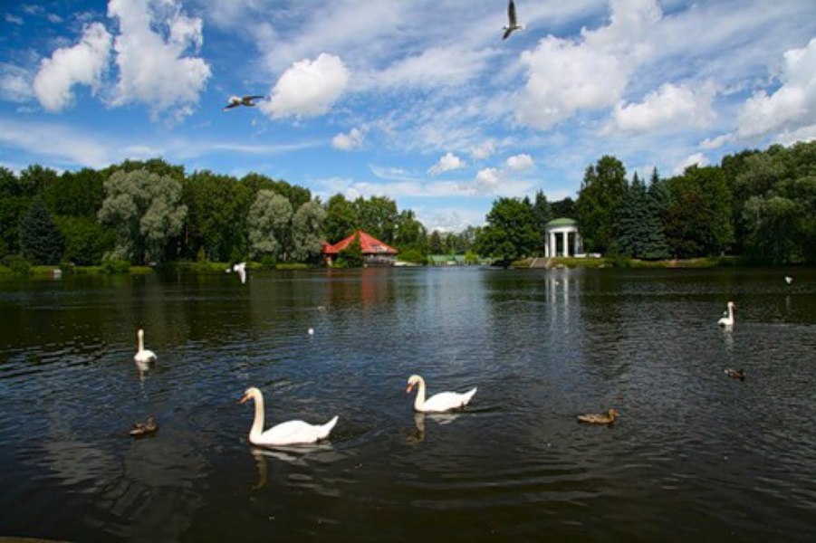 Приморский парк в спб