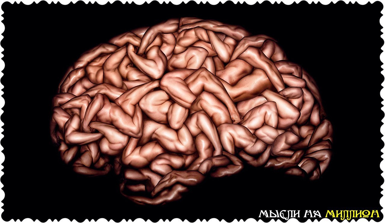 Мозги картинка с надписью