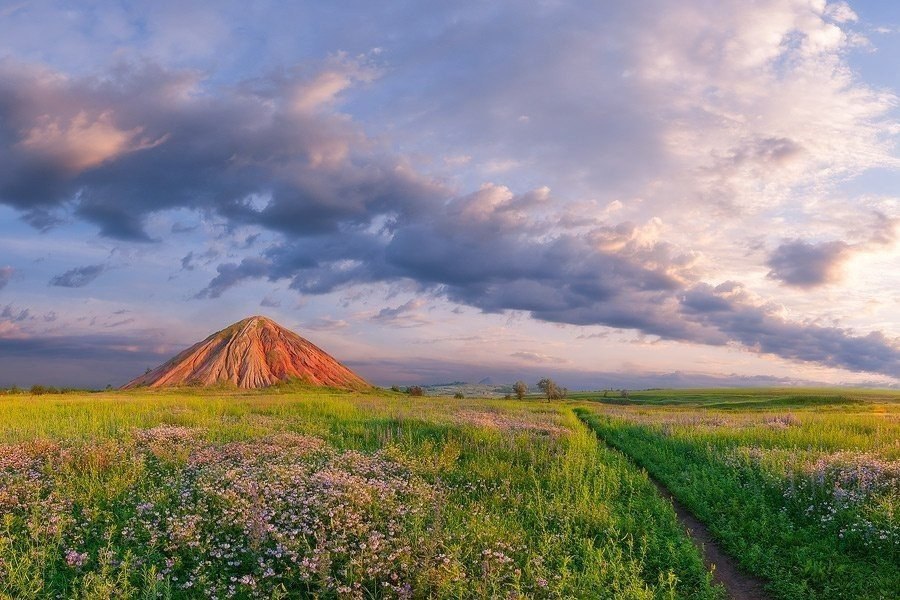 Природа донбасса презентация