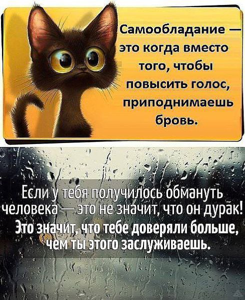 Почему плачу когда повышают голос. Самообладание. Самообладание это когда. Цитаты про повышение голоса. Самообладание это когда вместо того чтобы повысить голос.